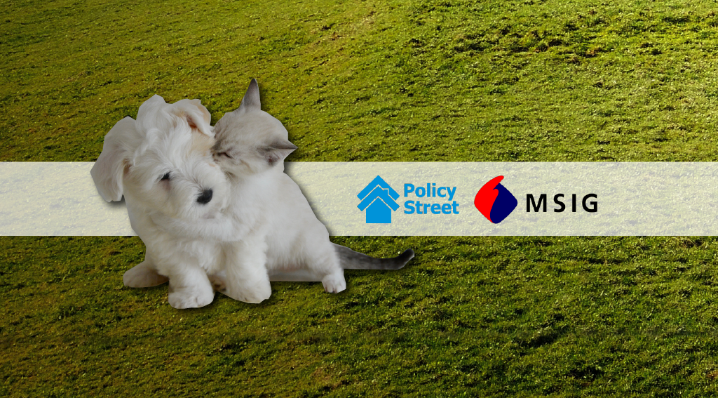 Malaysian Insurtech Firm Partners with MSIG to Protect Our Furry Friends